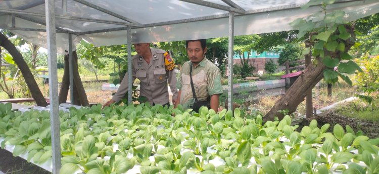 Warga Desa Gelam Antusias Tanam Sayur Hidroponik Dukung Ketahanan Pangan
